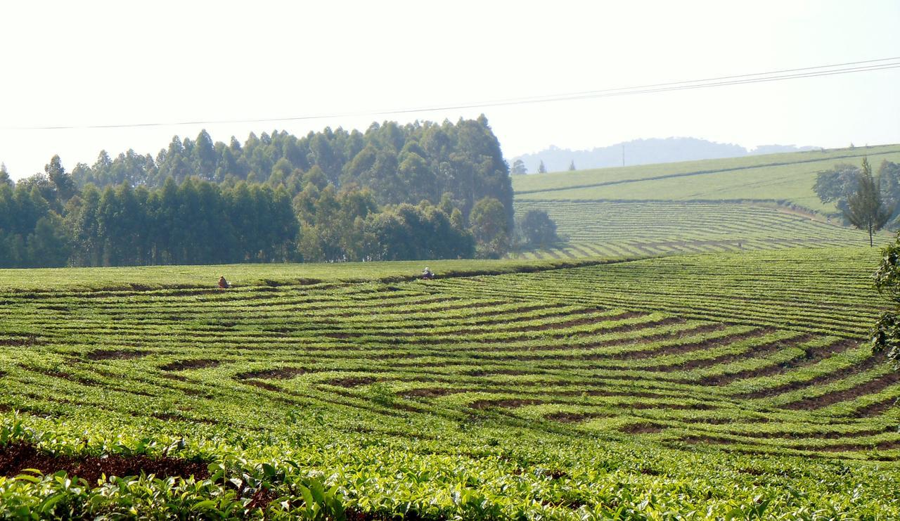 Dutchess Hotel And Restaurant Fort Portal 外观 照片