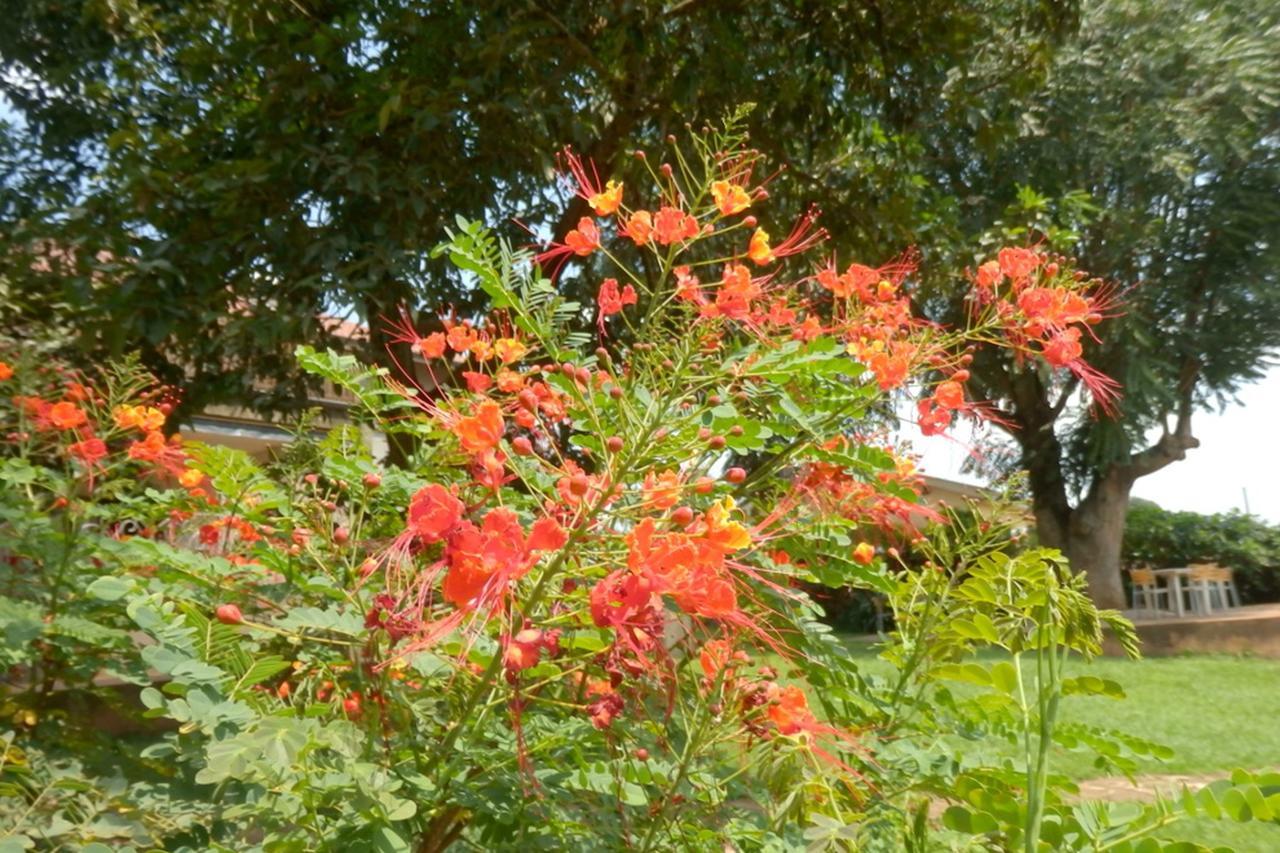 Dutchess Hotel And Restaurant Fort Portal 外观 照片