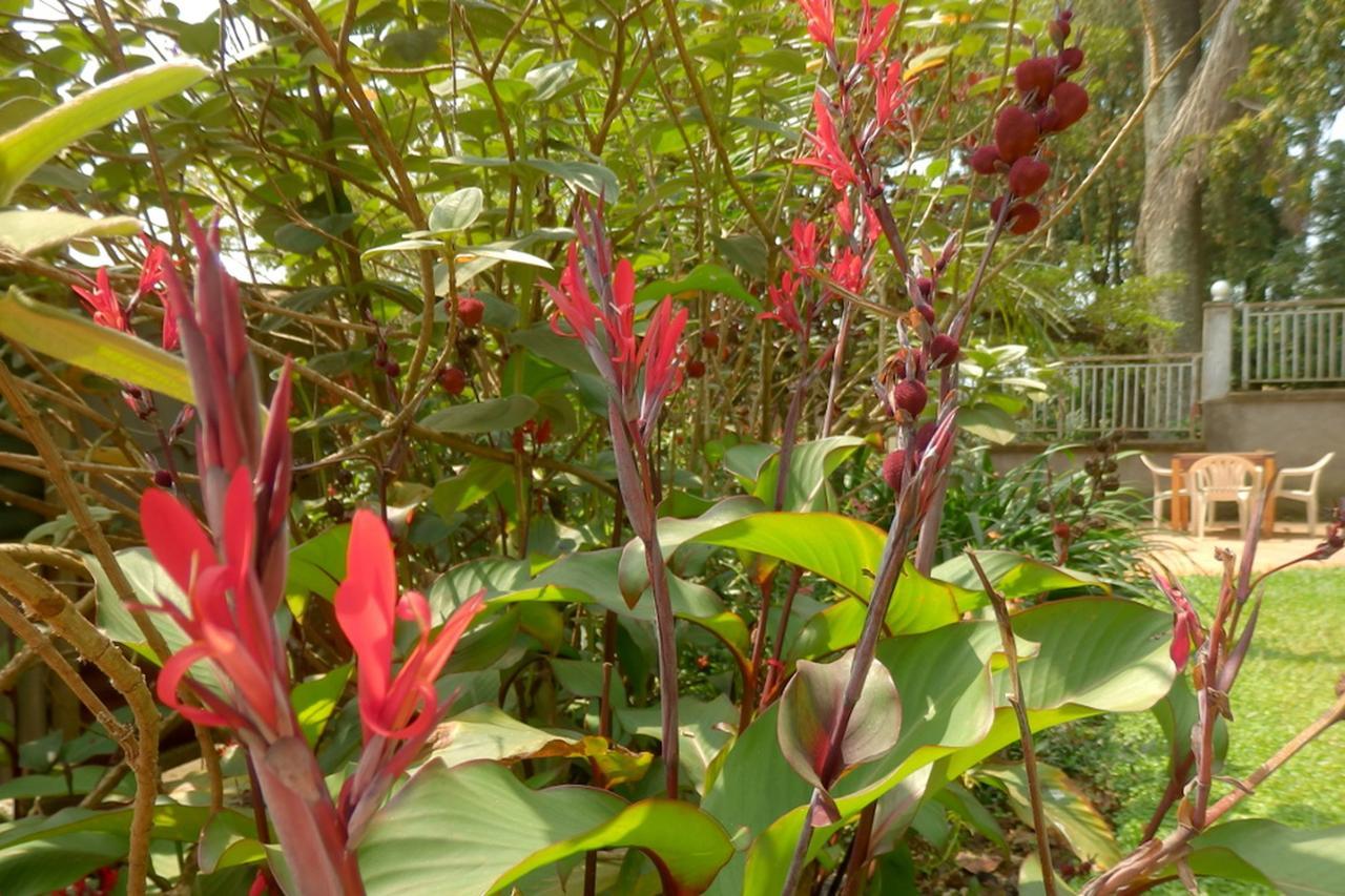 Dutchess Hotel And Restaurant Fort Portal 外观 照片
